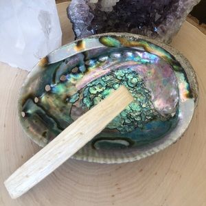 Extra Large Abalone Smudge Shell